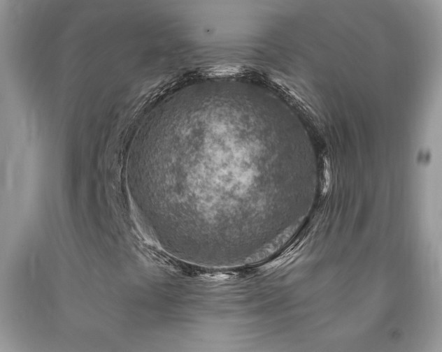 X0000092301441200709141310