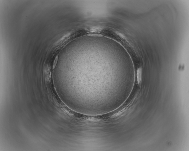 X0000092301443200709141310