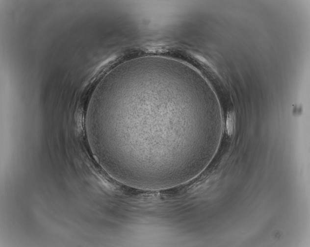 X0000092301444200709141310
