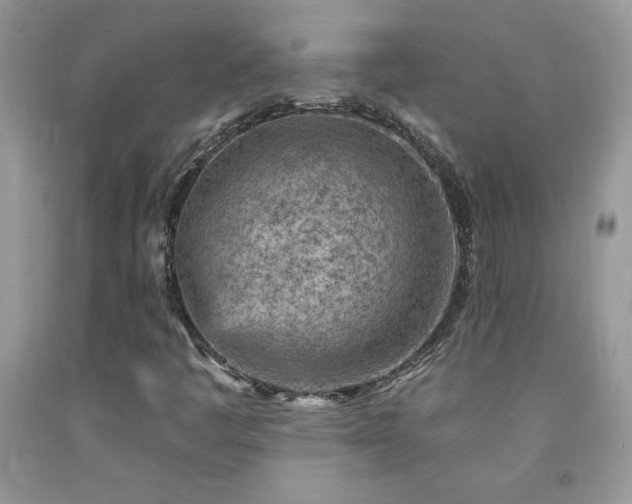 X0000092301445200709141310