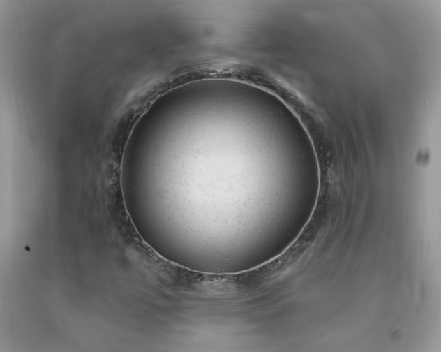 X0000092301447200709141310