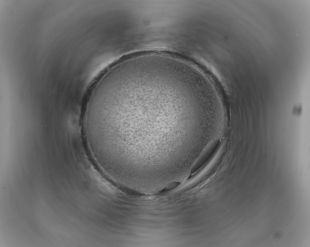 X0000092301452200709141310