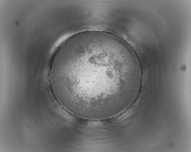 X0000092301454200709141310