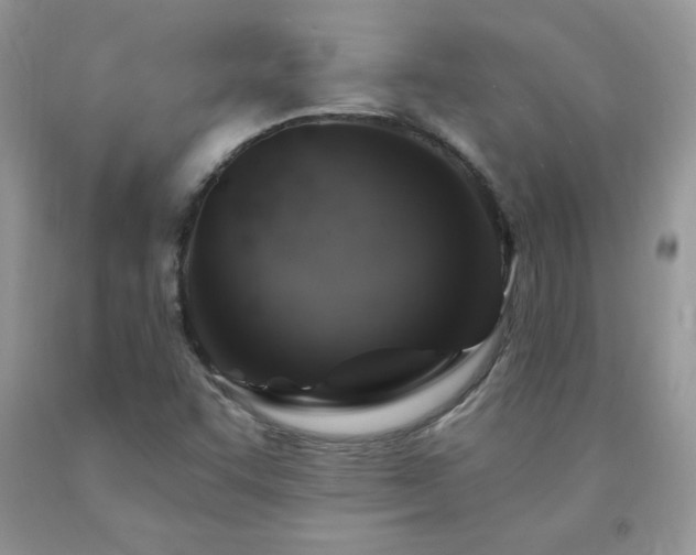 X0000092301455200709141310