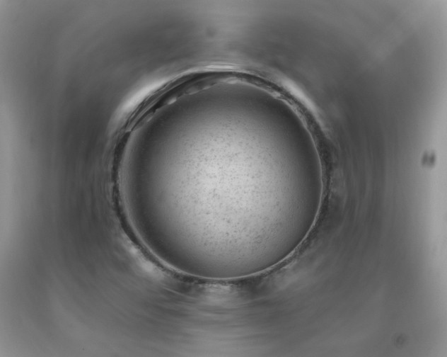 X0000092301456200709141310