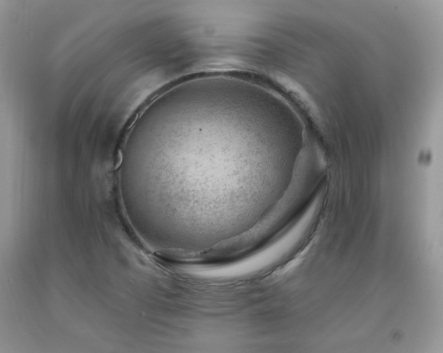 X0000092301457200709141310