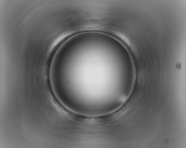 X0000092301458200709141310
