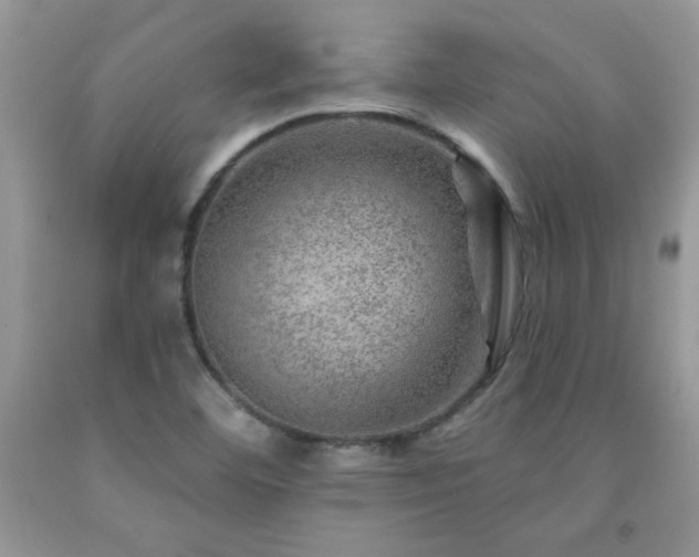 X0000092301460200709141310