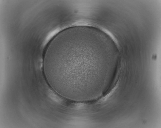 X0000092301461200709141310
