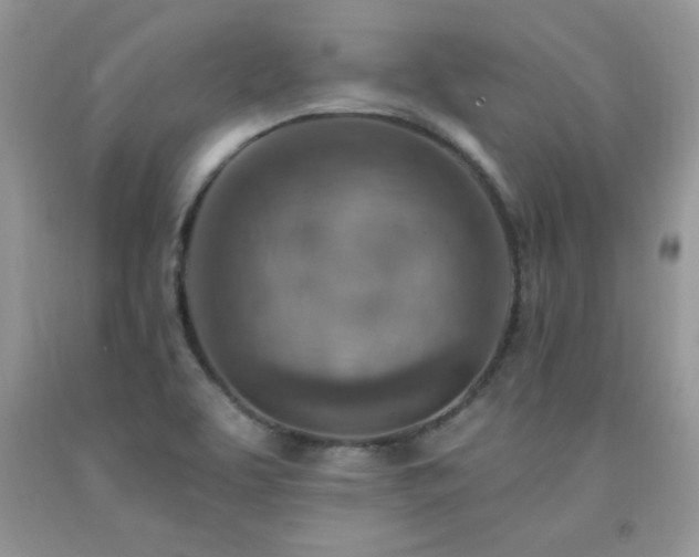 X0000092301463200709141310