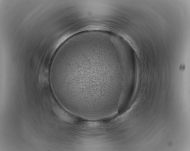 X0000092301465200709141310