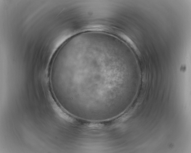 X0000092301466200709141310