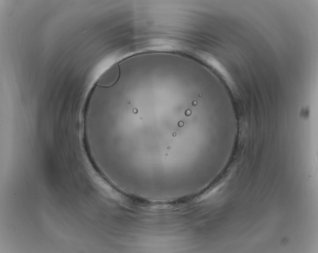 X0000092301467200709141310