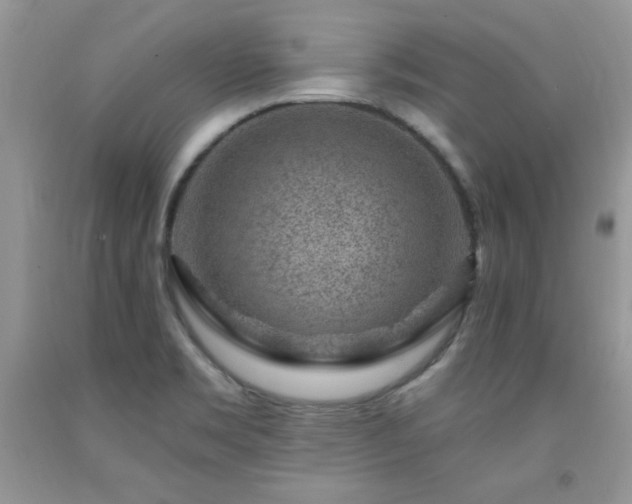 X0000092301469200709141310