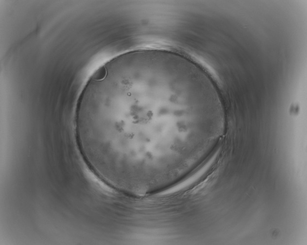 X0000092301471200709141310