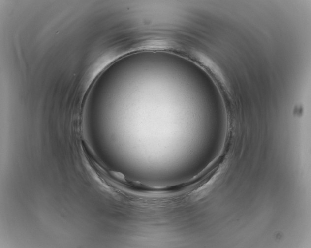 X0000092301473200709141310