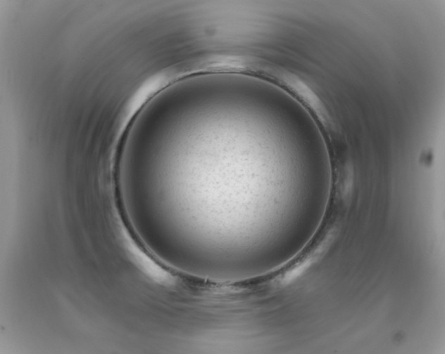 X0000092301475200709141310