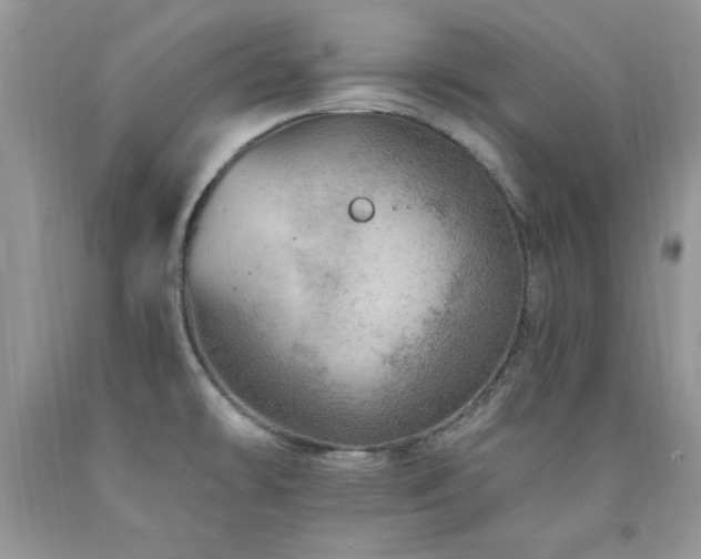 X0000092301478200709141310