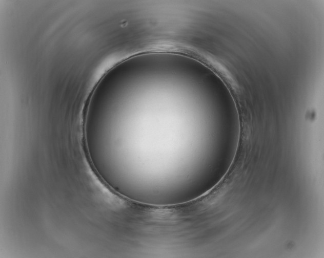 X0000092301479200709141310