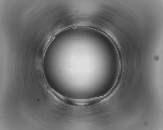 X0000092301481200709141310