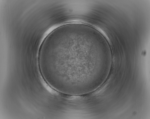 X0000092301482200709141310