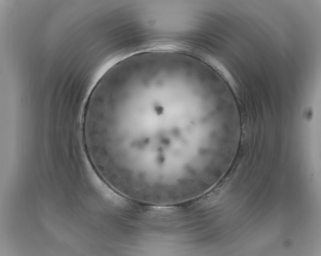 X0000092301483200709141310