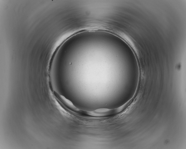 X0000092301485200709141310