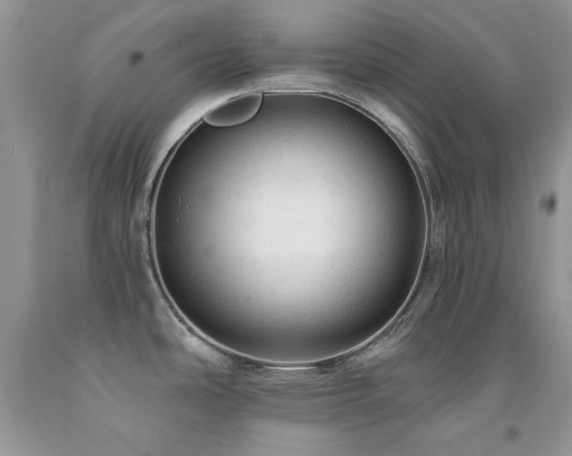 X0000092301486200709141310