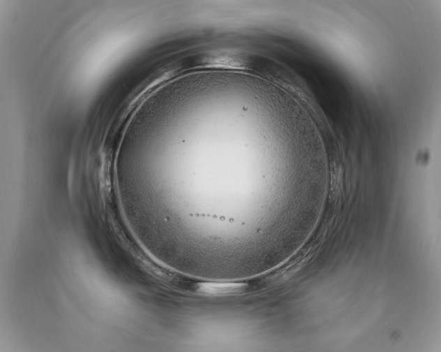 X0000092301487200709141310