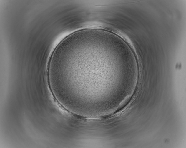 X0000092301488200709141310
