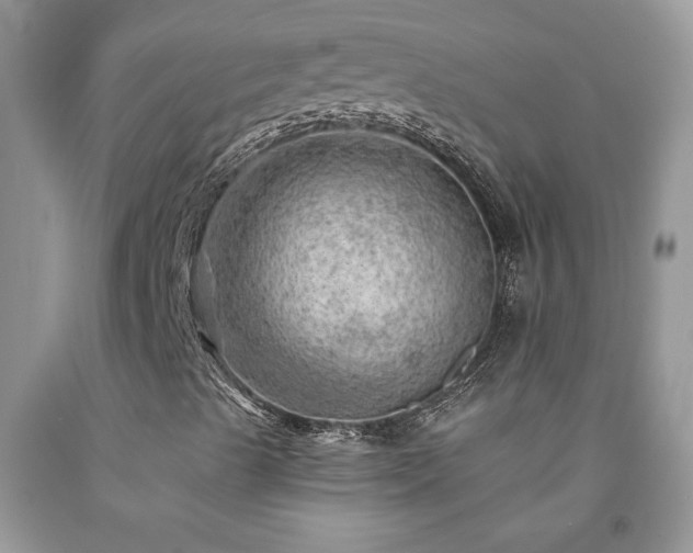 X0000092301489200709141309