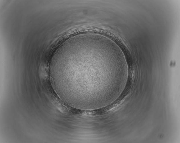 X0000092301490200709141309