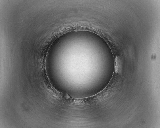 X0000092301491200709141309