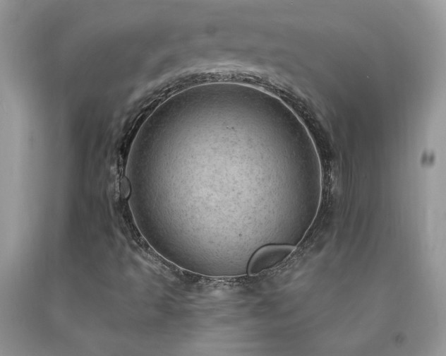 X0000092301493200709141309