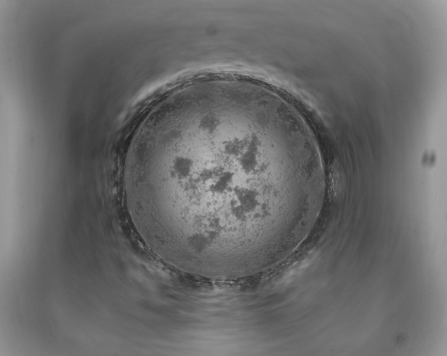 X0000092301494200709141309