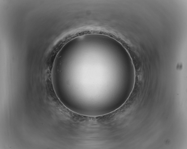 X0000092301495200709141309