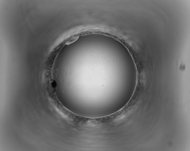 X0000092301496200709141309