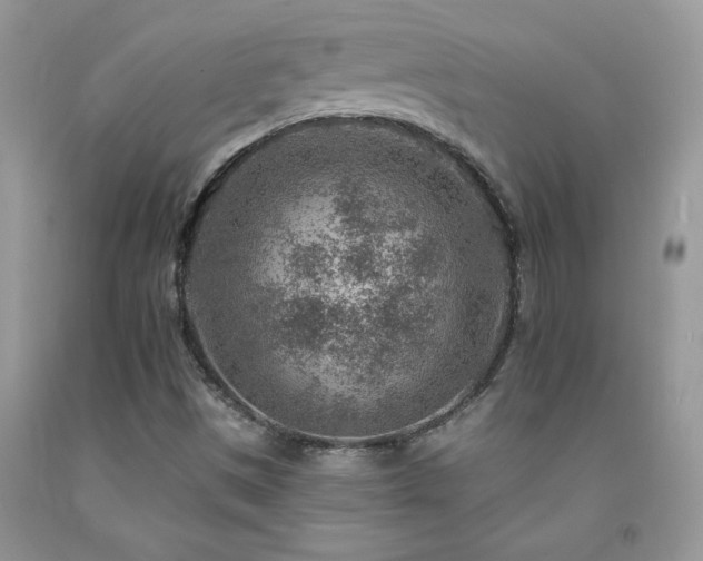 X0000092301497200709141309