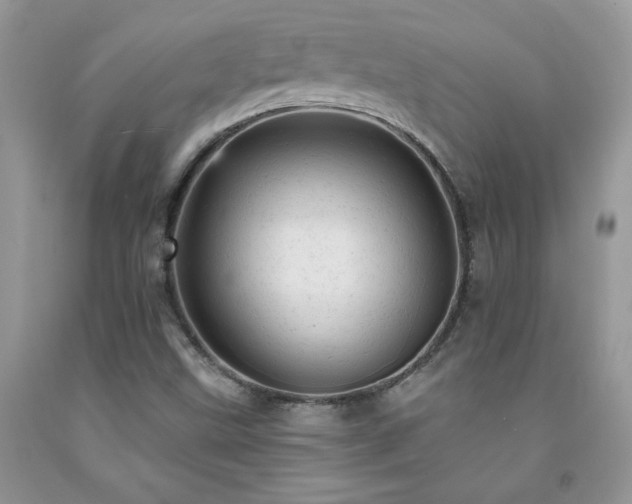 X0000092301499200709141309