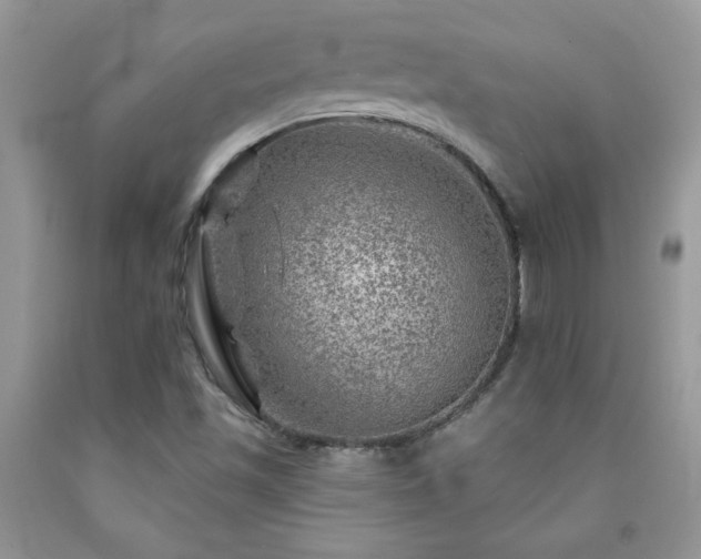 X0000092301501200709141309