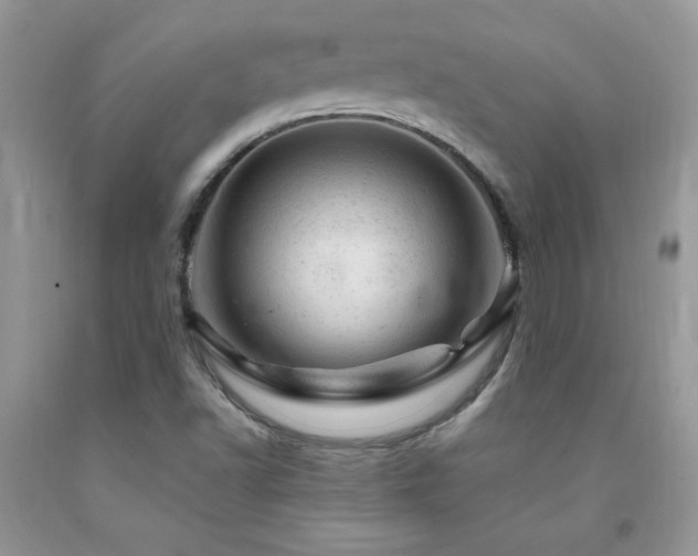 X0000092301502200709141309