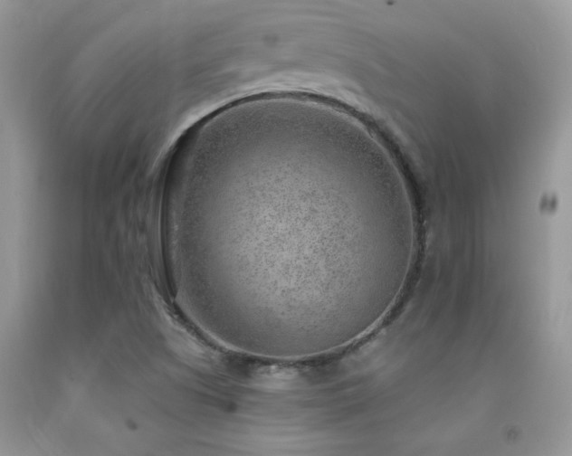 X0000092301505200709141309
