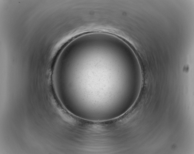 X0000092301507200709141309