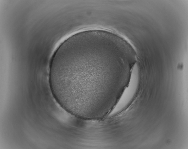 X0000092301508200709141309