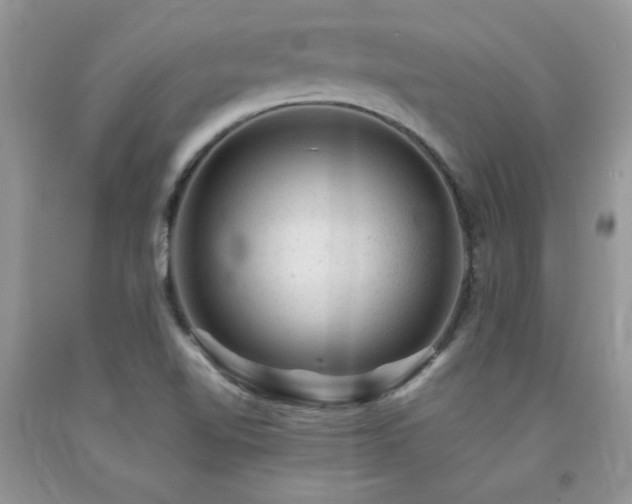 X0000092301510200709141309
