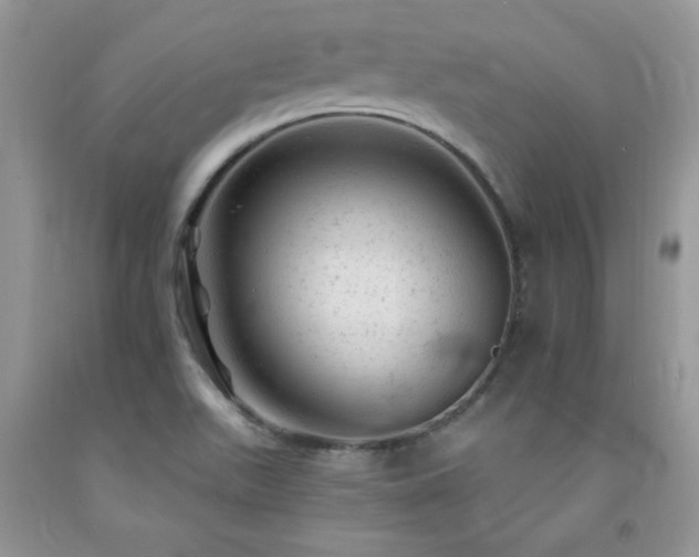 X0000092301511200709141309