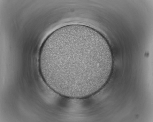 X0000092301514200709141309
