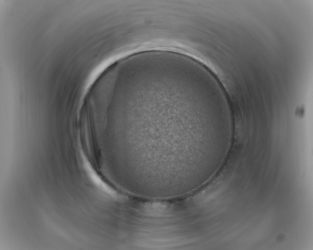 X0000092301515200709141309