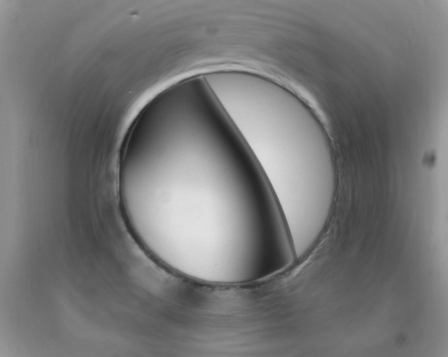 X0000092301516200709141309