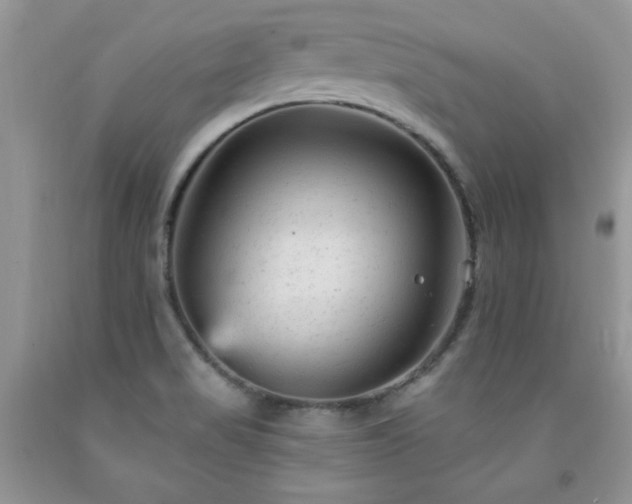 X0000092301517200709141309